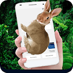Rabbit in Phone Cute Joke for PC