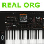 real organ playing icon