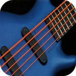 Acoustic Guitar Playing for PC
