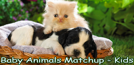 Baby Animals Matchup - Kids PC screenshot Baby Animals Matchup - Kids PC screenshot