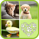 Baby Animals Matchup - Kids for PC Baby Animals Matchup - Kids for PC