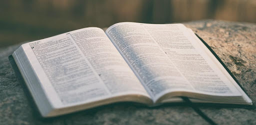Alkitab: Indonesian - English Bible PC screenshot