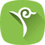 eNIS icon