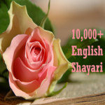 English Shayari icon