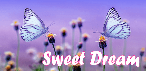 Good Night Images Love Photo PC screenshot