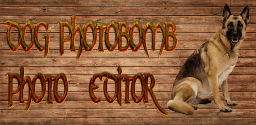 Dog Photobomb Photo Editor PC screenshot Dog Photobomb Photo Editor PC screenshot