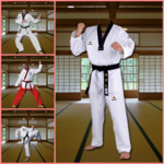 Taekwondo Photo Frame Editor for PC Taekwondo Photo Frame Editor for PC