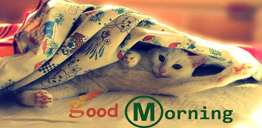 Good Morning Images Pro PC screenshot Good Morning Images Pro PC screenshot