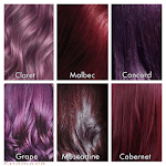 Hair Coloring Fashions Styles for PC - Free Download & Install on ...