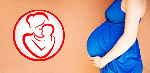 Pregnancy Day by Day PC screenshot