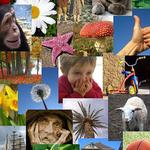 Picturenality-Personality Test for PC