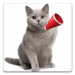 Cat Sounds for PC Cat Sounds for PC