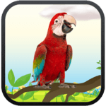 Real Talking Parrot icon