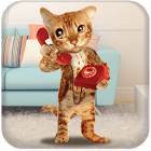 Cat Caller for PC Cat Caller for PC