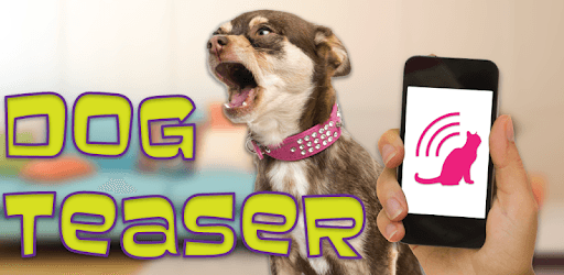 Dog Teaser PC screenshot Dog Teaser PC screenshot