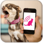 Dog Teaser icon