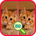 Find The Differences 59 for PC