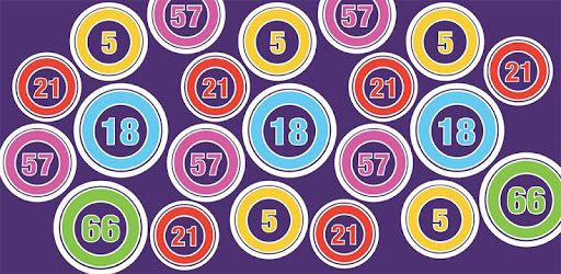 Bingo Numbers PC screenshot