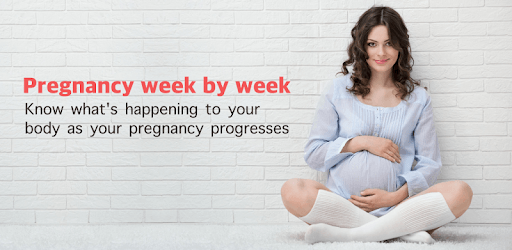 I'm Pregnant - Pregnancy Tracker PC screenshot