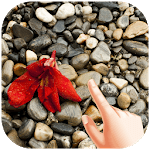 Pebbles Water Ripple Live Wallpaper for PC