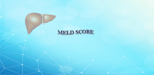 Meld Score PC screenshot