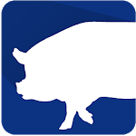 PigPlus icon