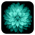 Galaxy Flowers Live Wallpaper for PC