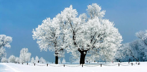 Snow Season Live Wallpaper PC screenshot Snow Season Live Wallpaper PC screenshot