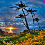 Landscape Wallpaper Ideas icon