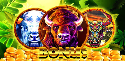 Wild Buffalo Safari HD Slots PC screenshot
