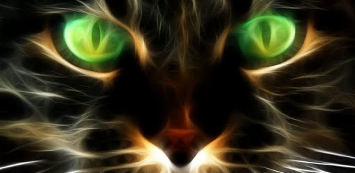 Cheshire Cat HD Live Wallpaper PC screenshot