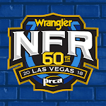 NFR Experience App 2018 icon