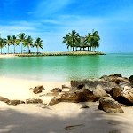 Beach Live Wallpapers for PC