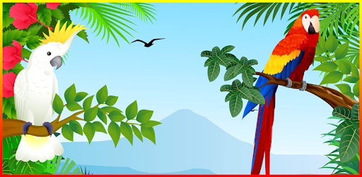 Bird Ringtones PC screenshot Bird Ringtones PC screenshot