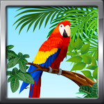 Bird Ringtones icon