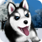 Talking Husky icon