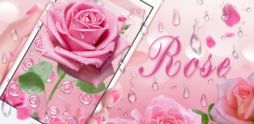 Elegant 3D Pink Rose Theme PC screenshot