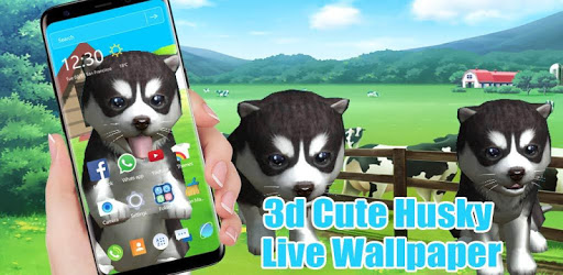 3D Cute Husky Live Wallpaper theme PC screenshot