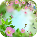 Blossom flower Theme for PC