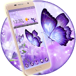 Shiny Colorful Butterfly Theme icon
