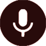Dual voice Recorder for PC