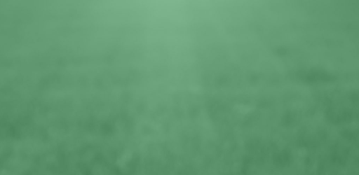 LawnStarter for Providers PC screenshot LawnStarter for Providers PC screenshot