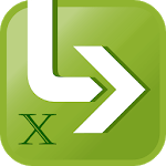 LeadValu X icon
