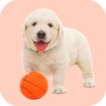 Squeaky Toy Sounds icon