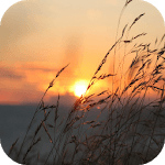 Sunrise Wallpapers for PC