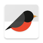 SimpleVPN icon