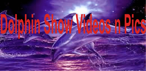 Dolphin Show Videos n Pics PC screenshot Dolphin Show Videos n Pics PC screenshot