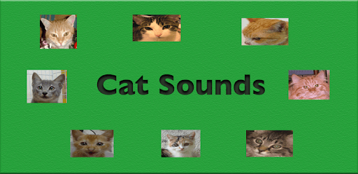 Cat Sounds PC screenshot