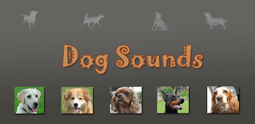 Dog Sounds PC screenshot