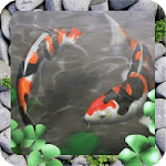 Free Waterpool Live Wallpaper for PC Free Waterpool Live Wallpaper for PC